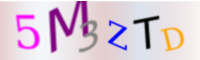 bintellix form capcha