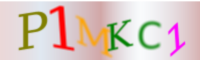 bintellix form capcha